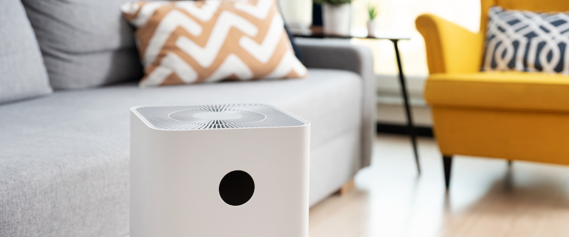 The Truth About Air Purifiers: Are They Really Worth It?
