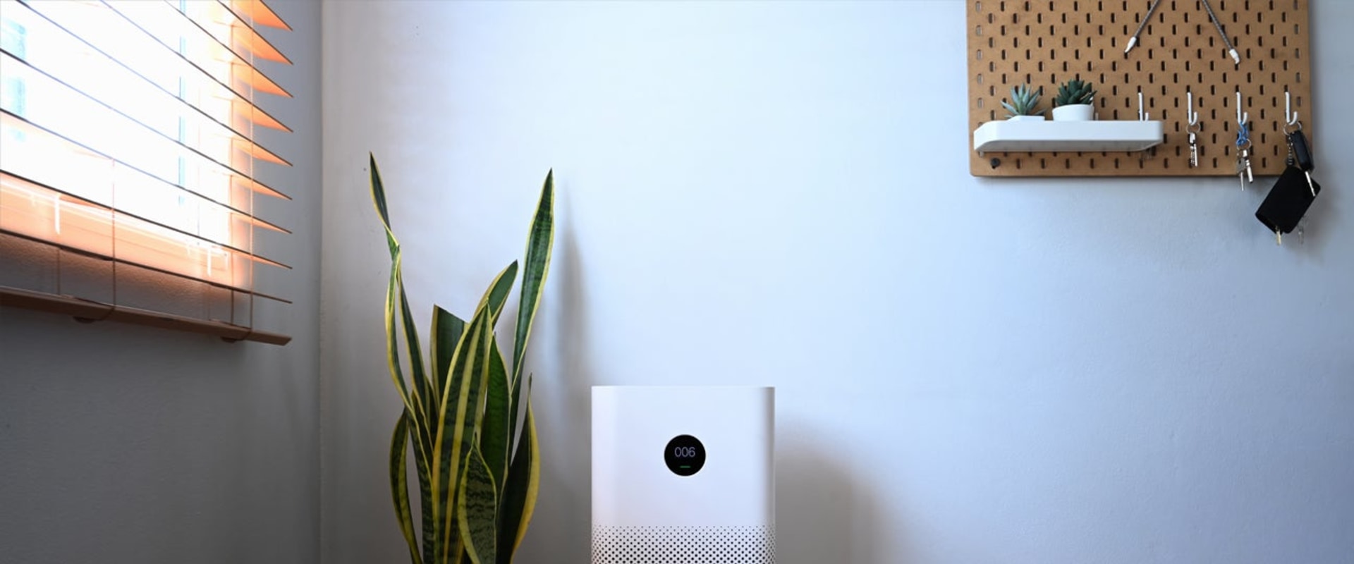 The Truth About Ionized Air: Is it Safe to Breathe?