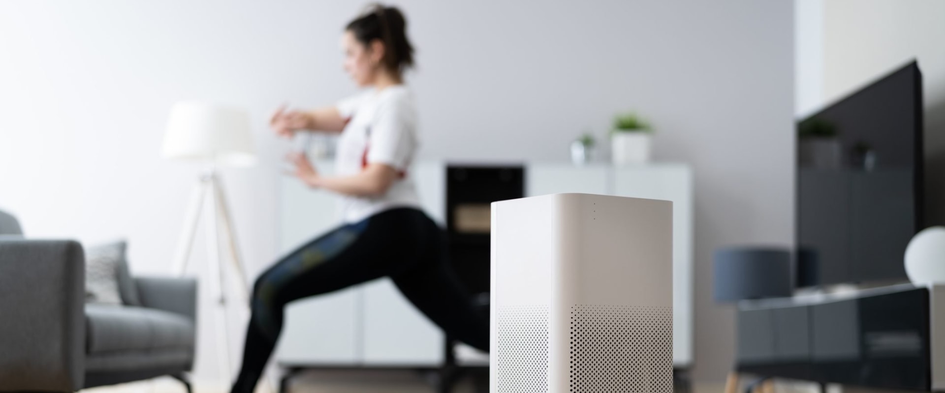 Air Purifiers vs Ionizers: Which is Better?