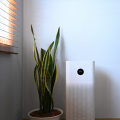 Air Purifiers vs Ionizers: Which is Better for Your Health?