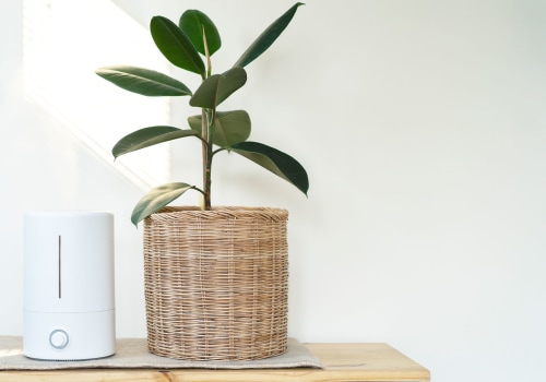 Hepa vs Ionic: Which Air Purifier is Better?