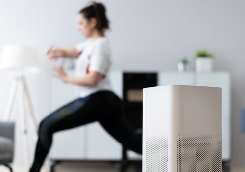 Air Purifiers vs Ionizers: Which is Better?